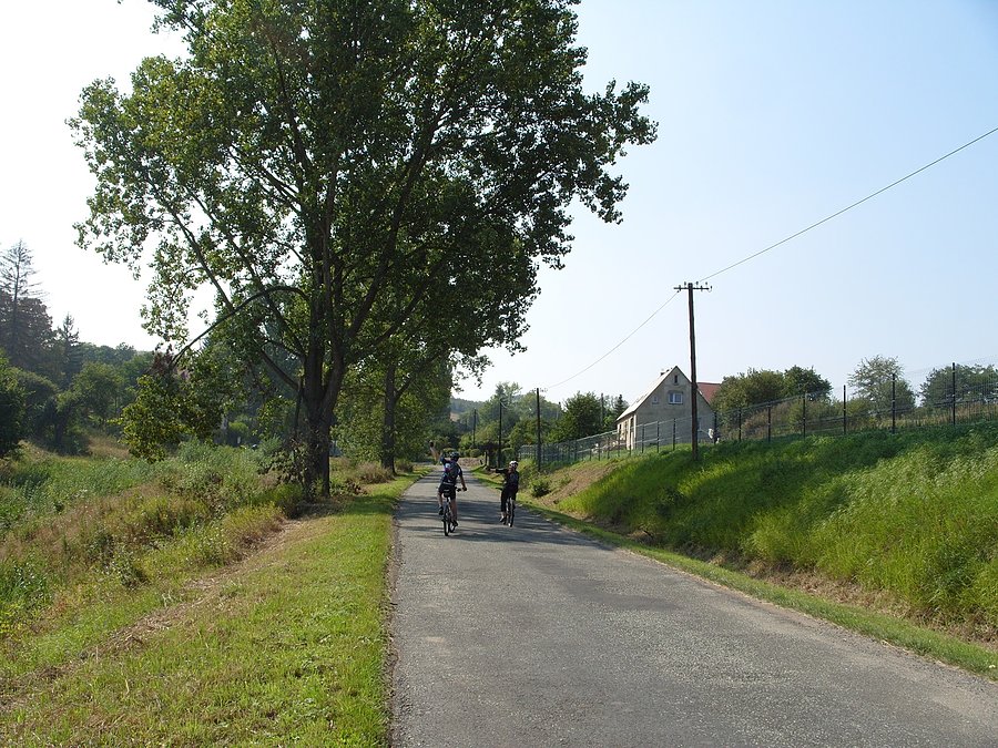 Podjazd na Suszynę