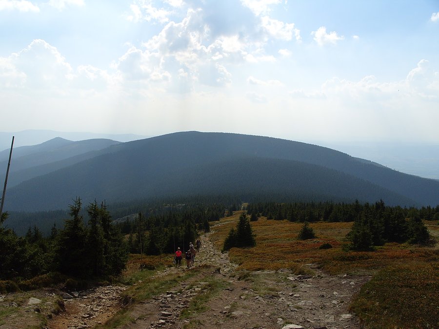 Widok w dół ze Śnieżnika