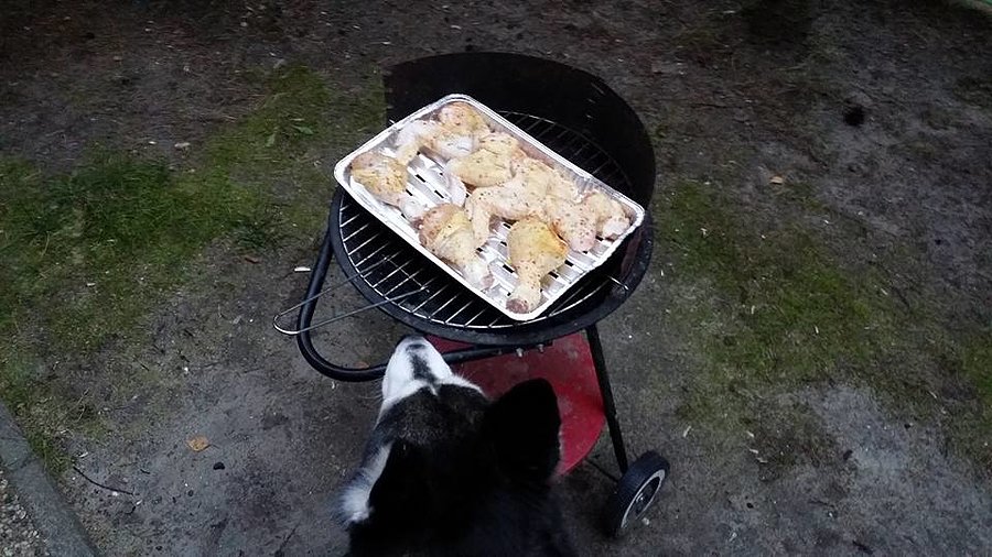 Gril na koniec dnia i jazdy a kto go pilnuje ;