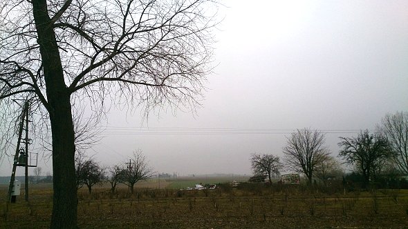 Widok na pola