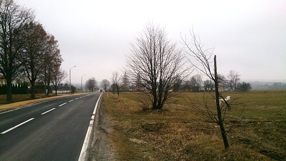 Zjazd do Strzyżewic
