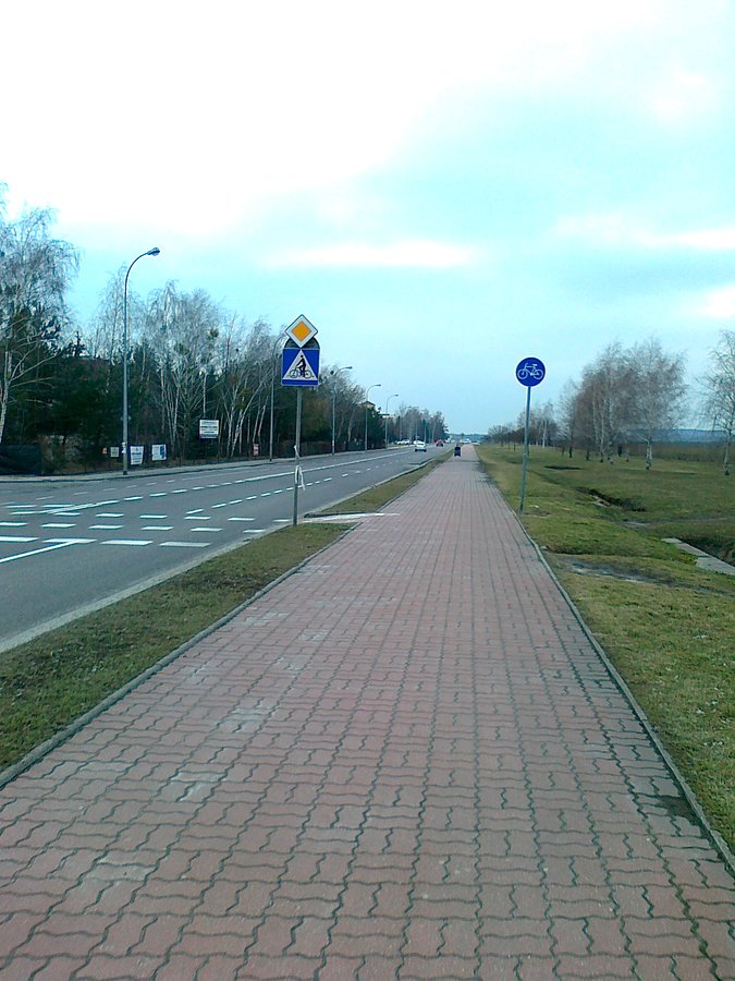 Ddr na Piastów Śląskich