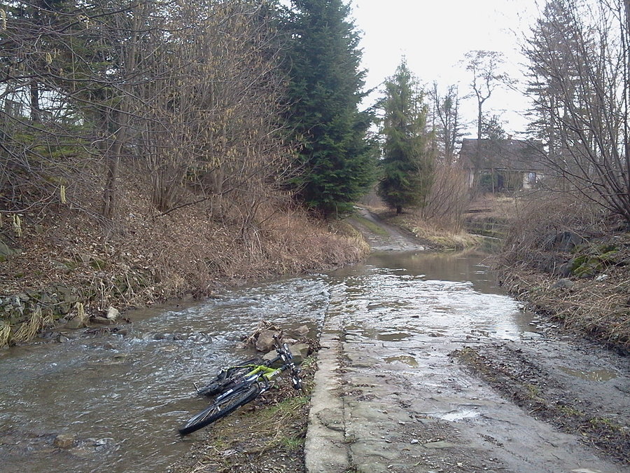 Dzięgielów