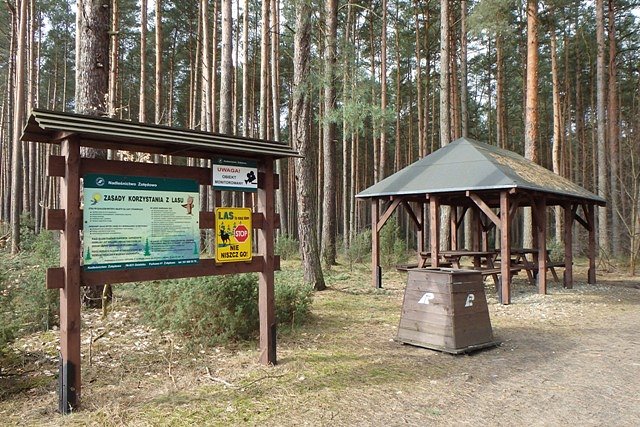 Z pogromu drzew ocalał punt postojowy. Ciekawe na jak długo?
