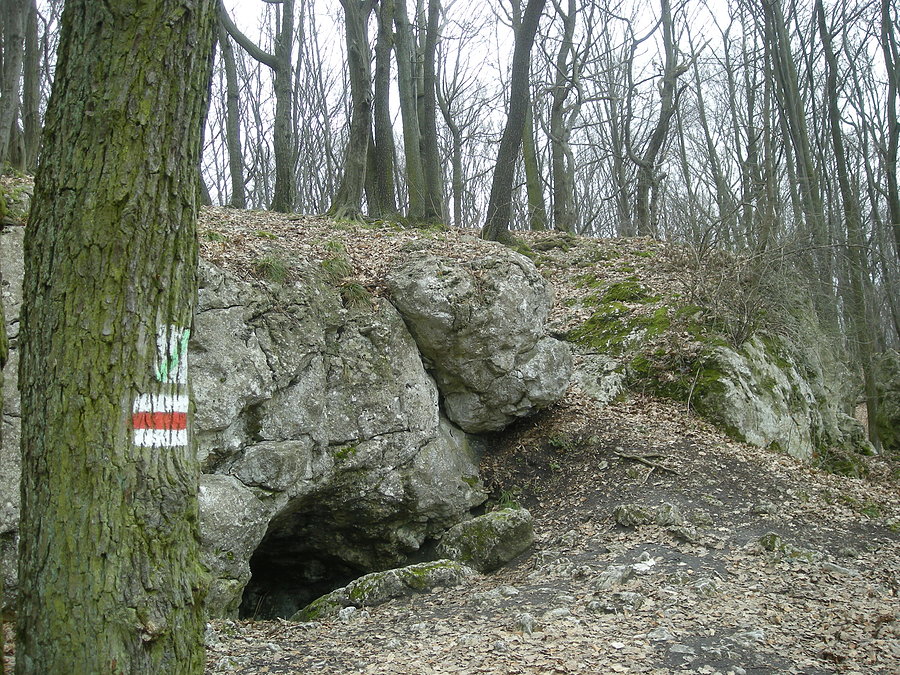 Otwór jaskini w Zielonej Górze