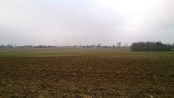 Widoczek