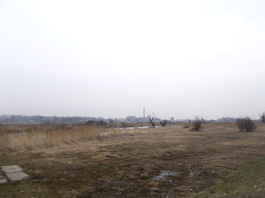 Widok Ebowa z Bielnika