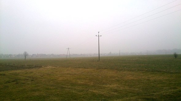 Pola w Jabłonnej