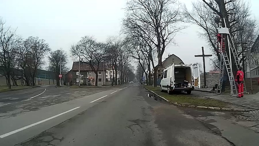 Przycinają drzewa?