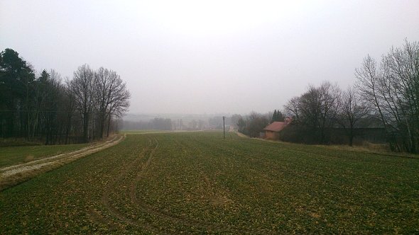 Pola w Bychawce