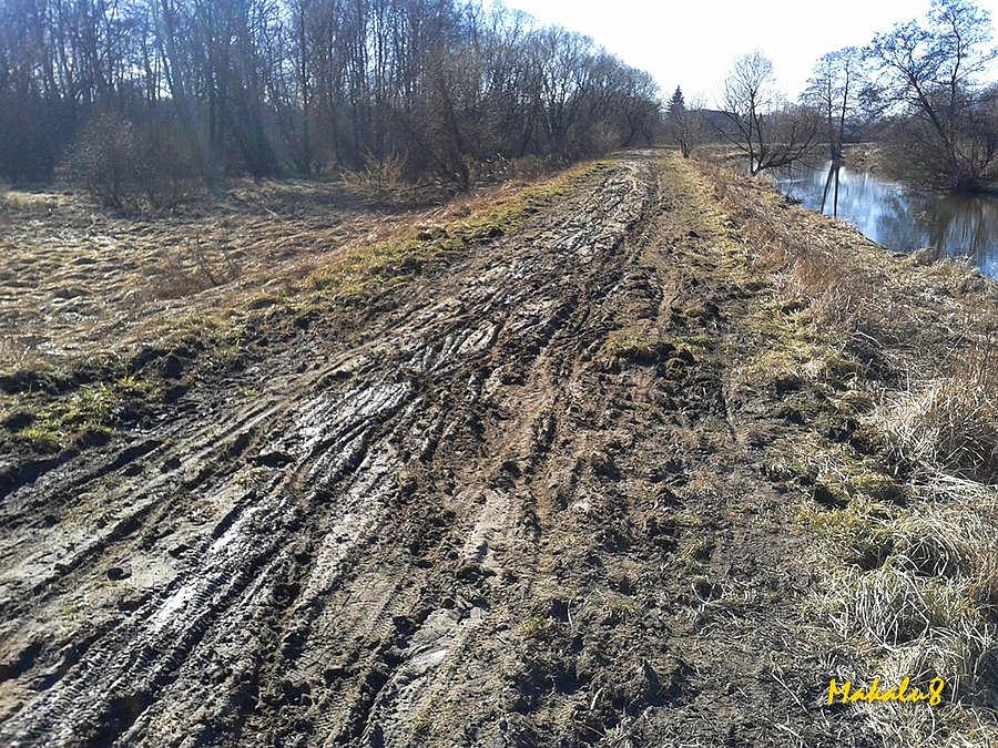 Ścieżką nad Przemszą po roztopach
