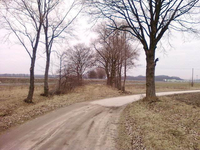 Zakręt przy autostradzie