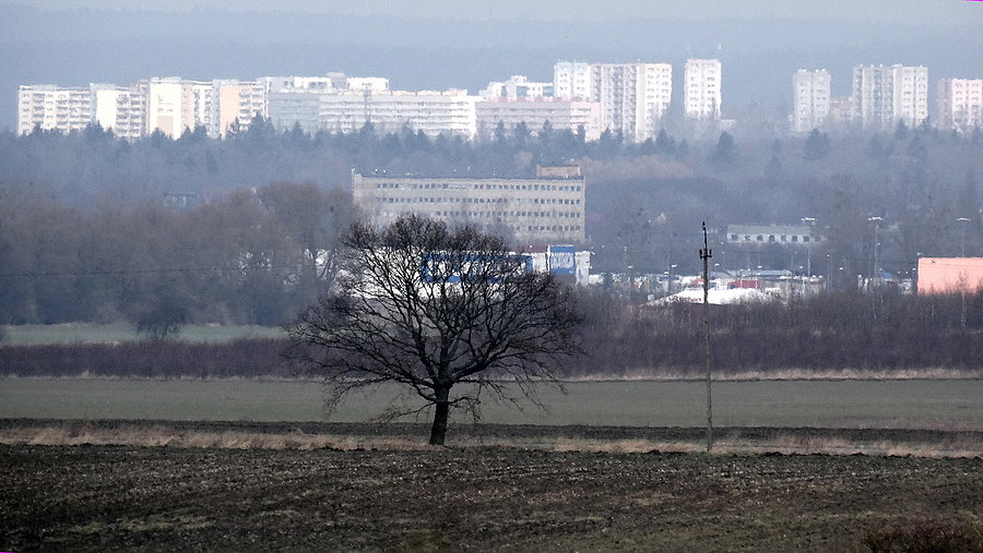 Gdzieś na horyzoncie budynki Szczecina - widok spod Siadła Dolnego