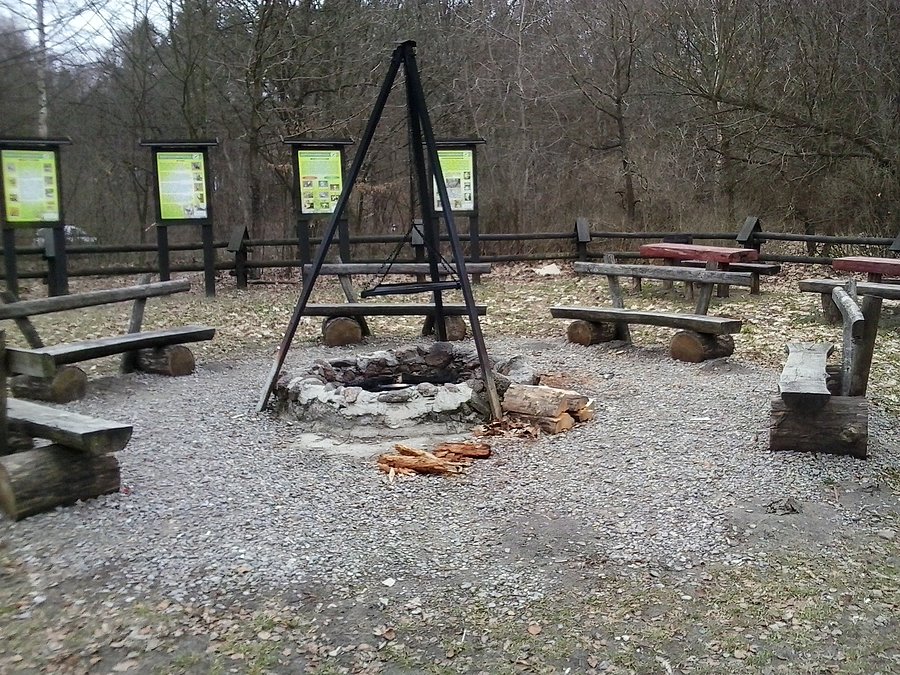 Wypasione miejsce na ognich (Białkówka koło Kolbuszowej)