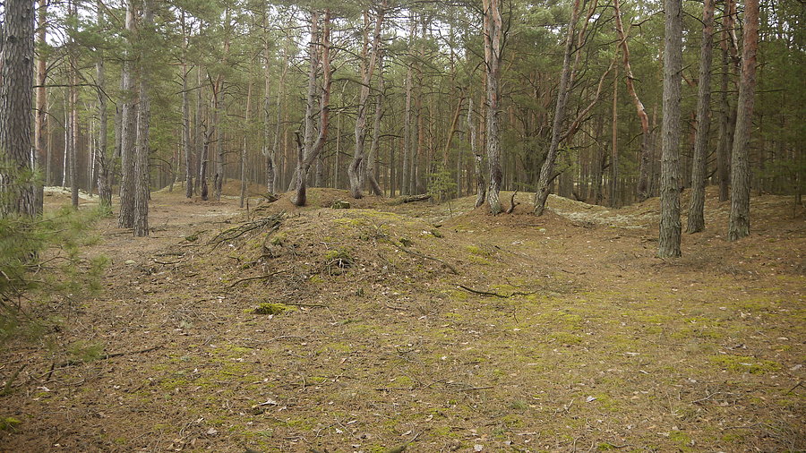 Lipki - kurhany
