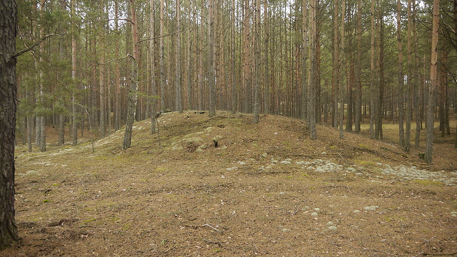 Lipki - jeden z większych kurchanów