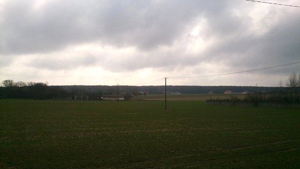 Pola w Kazimierzówce