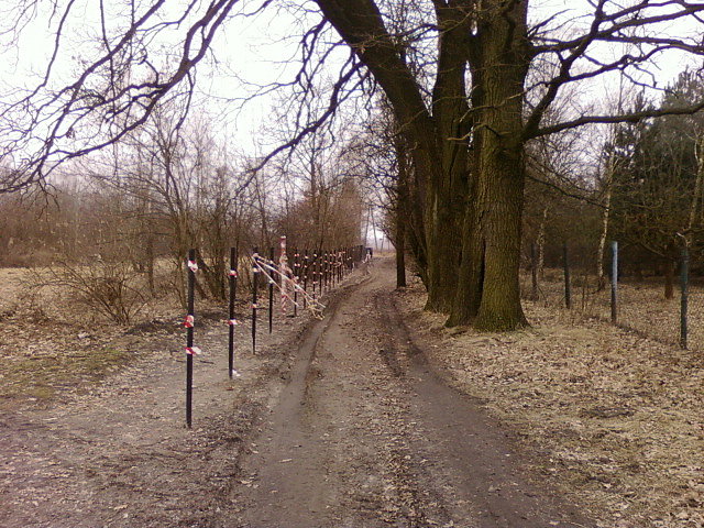 Ul. Koniakowska