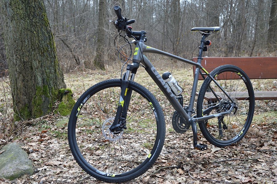 Giant Roam 1 Disc (2017)