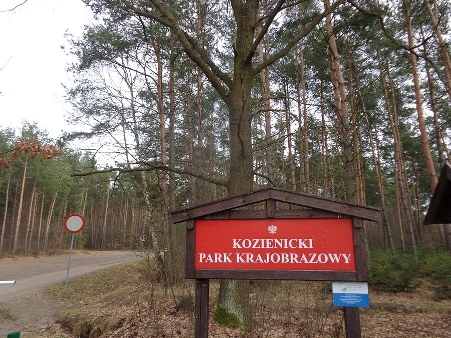 Wjeżdżam