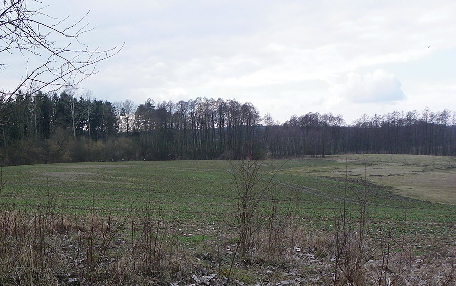 Okolice Kurska