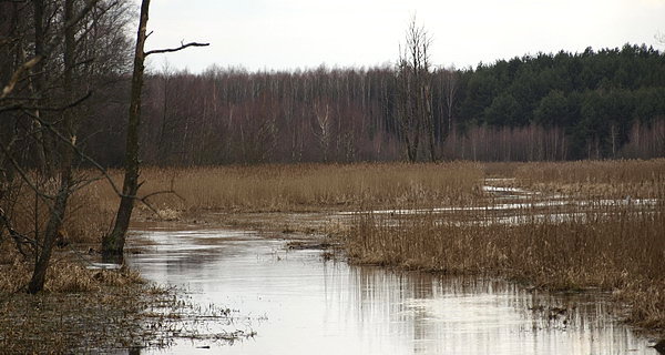 Rzeka Rudka