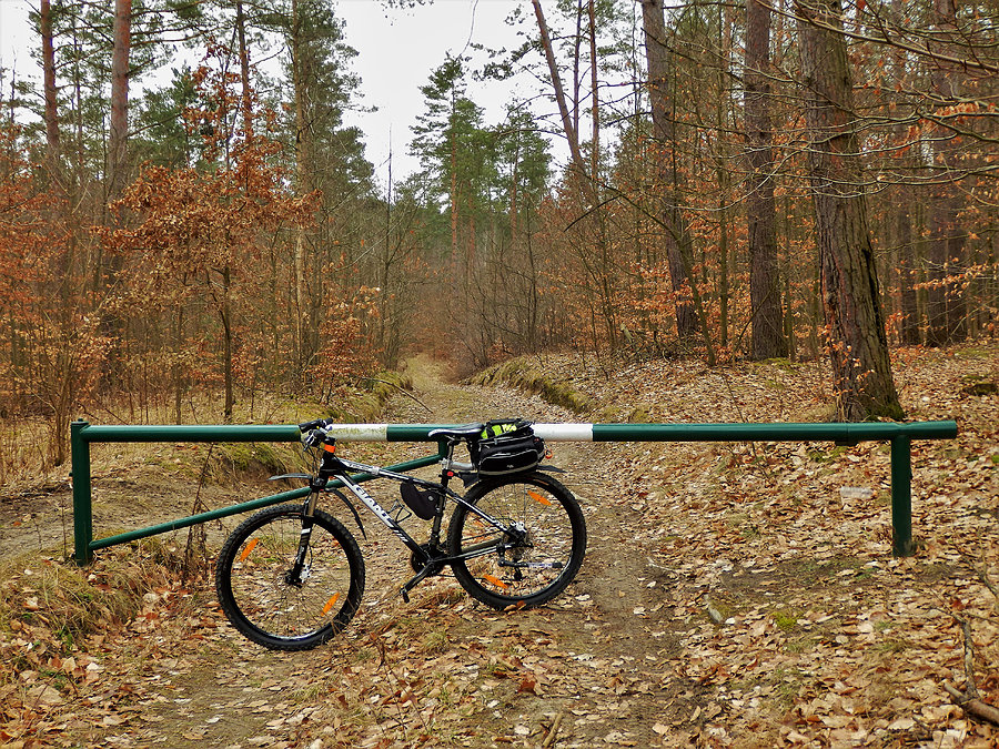 Wycieczka rowerowa - okolice Tczewa