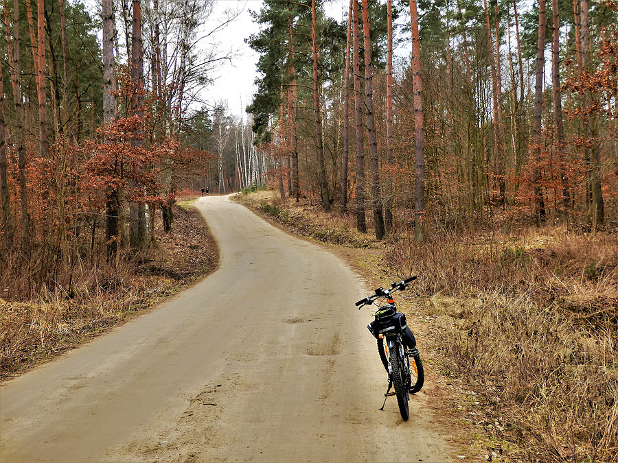 Wycieczka rowerowa - okolice Tczewa