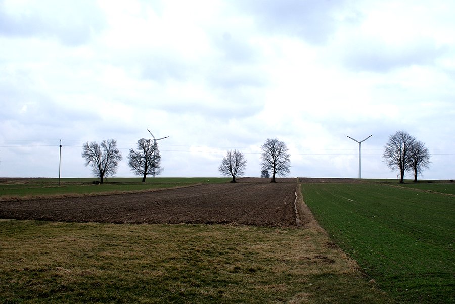 Piękny widoczek