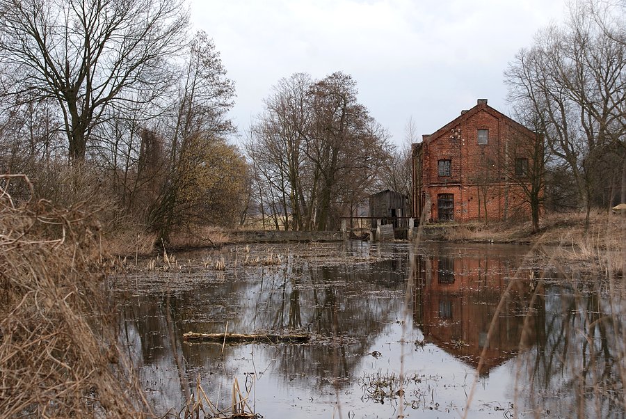 Młyn wodny w Studziankach