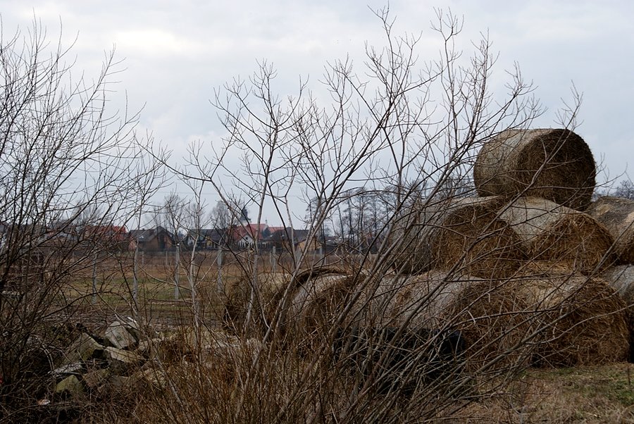 Przed Wolborzem