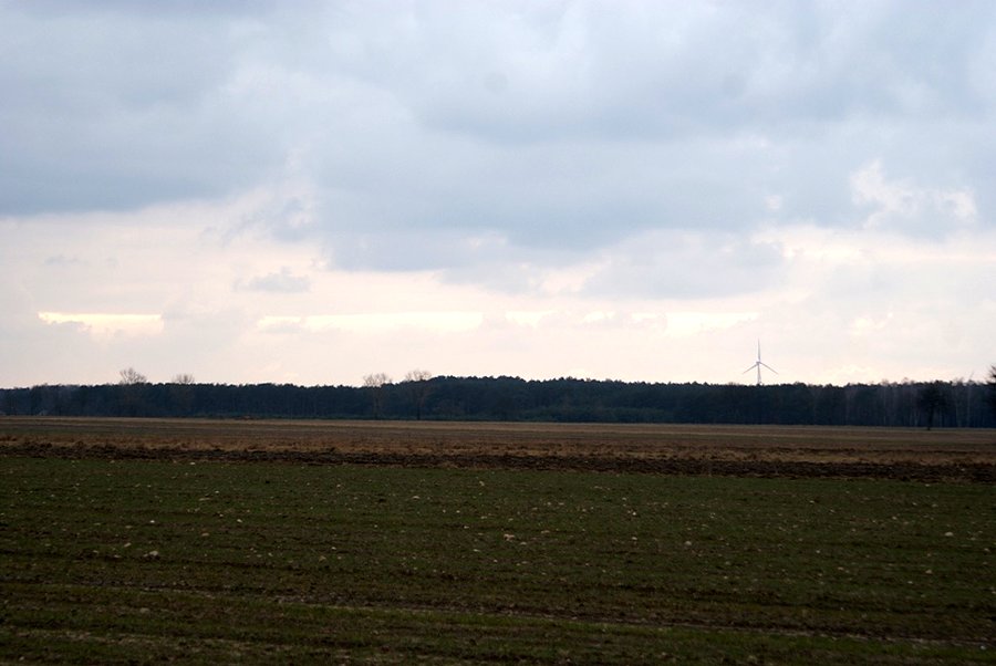 Tyle słońca dziś widziałam