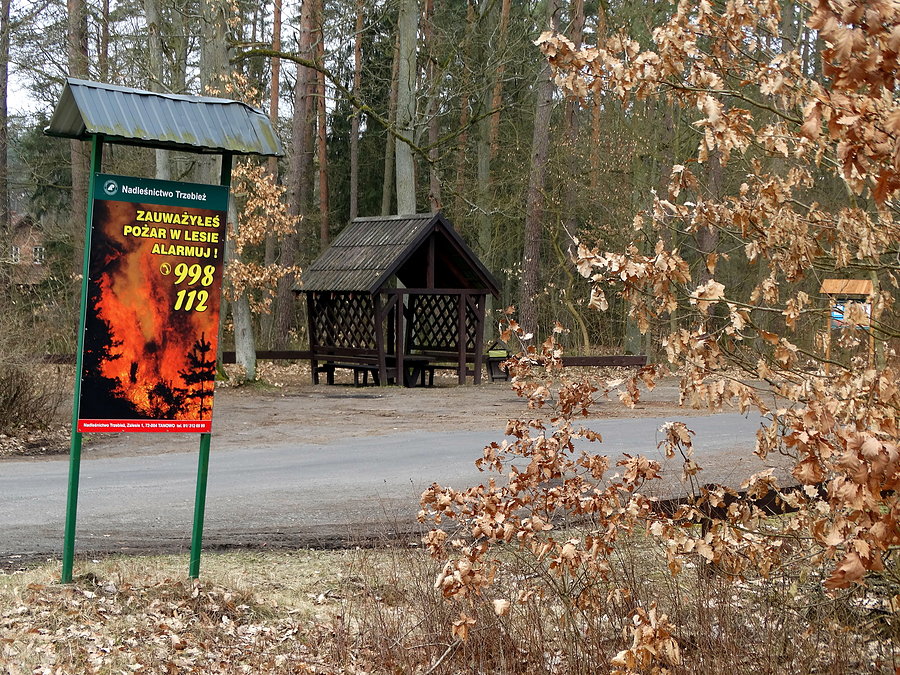 Tuż przed Zalesiem - miłe miejsce wypoczynku
