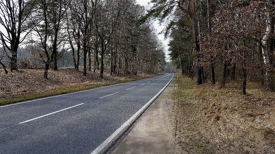 DW 142 w okolicy miejscowości Krzywiec