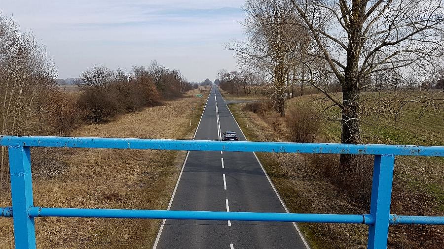 Nad DW 142 - Stara Dąbrowa