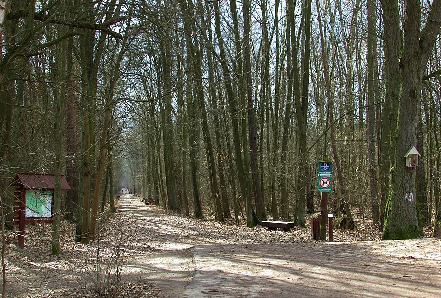 Las Kabacki wejście ul. Moczydłowską