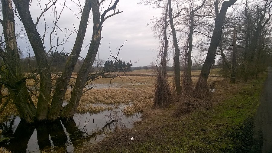 W drodze do Górki