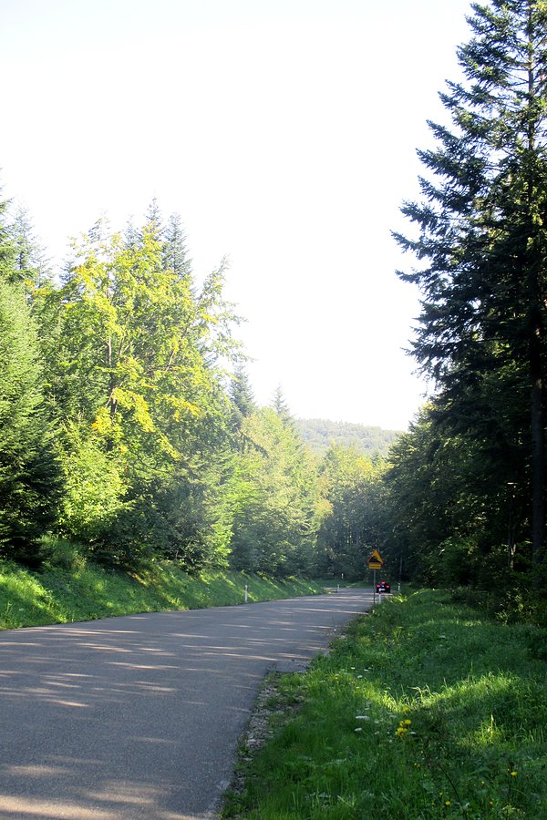 Zjazd do Radoszyc