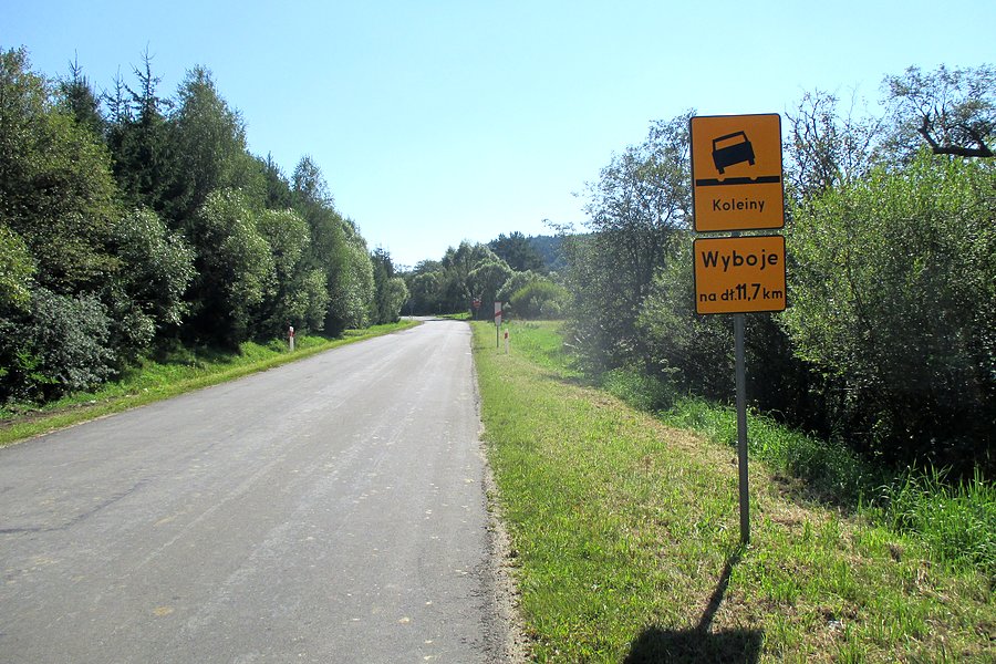 Bieszczadzkie wertepy