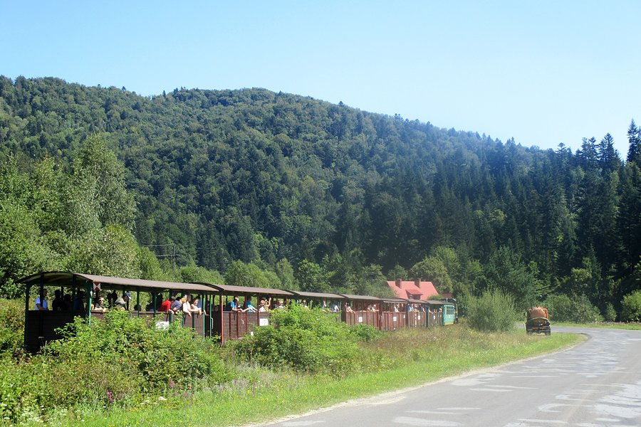 Bieszczadzka kolejka z szambowozem w tle