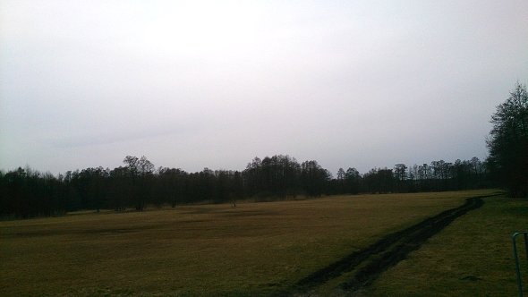 Łąki w Krężnicy