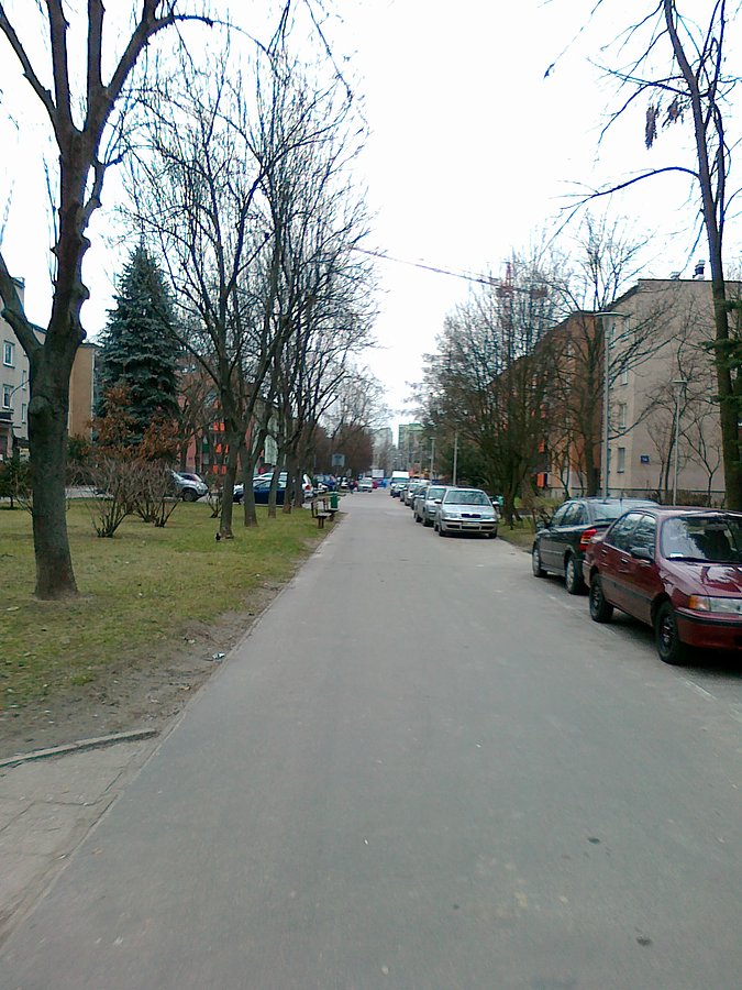 Na Rozłogi