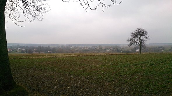 Pola koło Starej Wsi