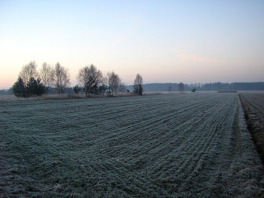 Zmrożone pola