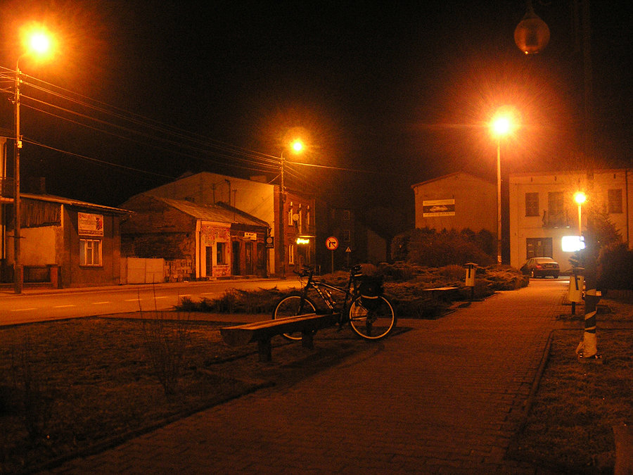 W Żarnowcu