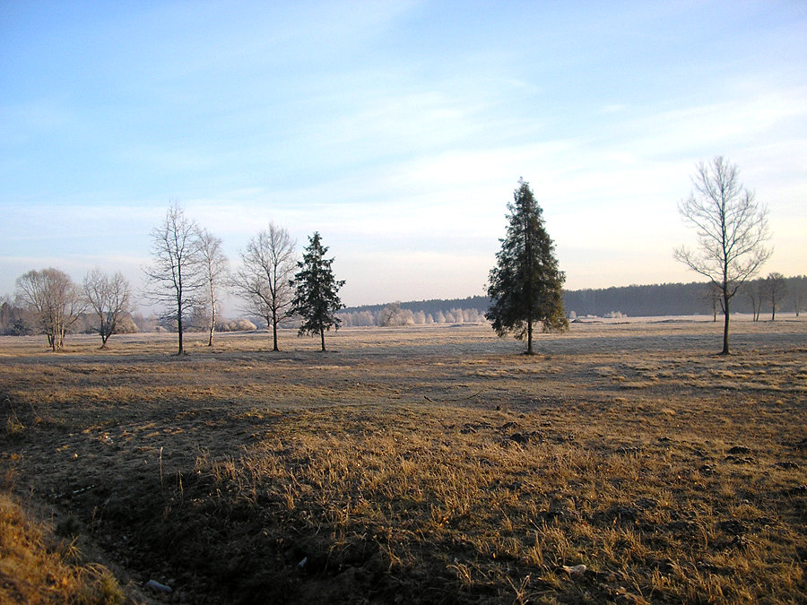 Przed Koniecpolem