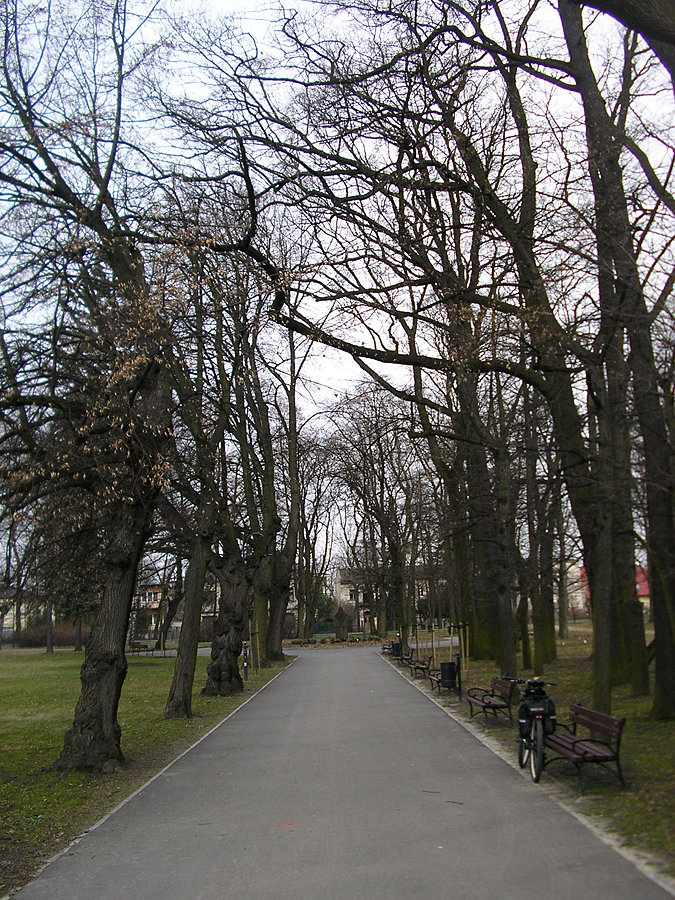 Park w Piotrkowie