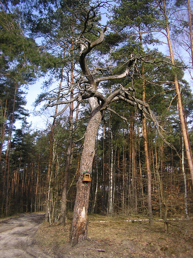 Kapliczka po drodze