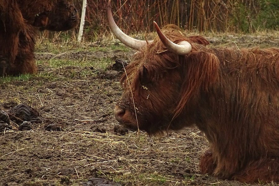 A temu kupa śmierdzi