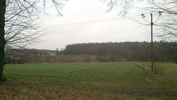 Pola w Jabłonnej